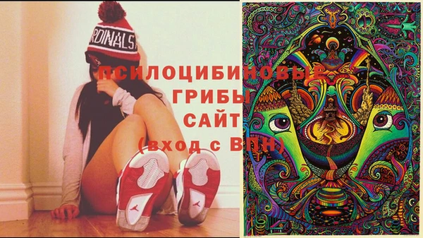 прущий лед Арсеньев