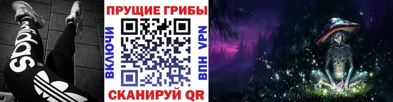 Галлюциногенные грибы мицелий Мурманск